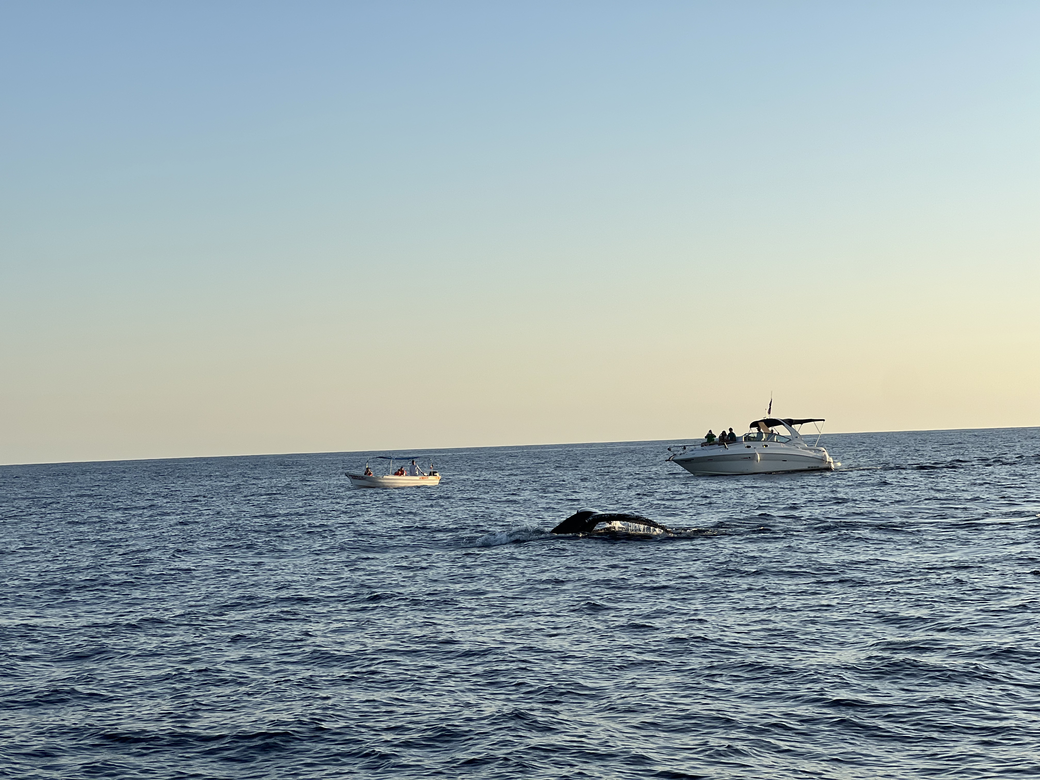 ./2024/13 - Cabo/IMG_4717.jpg